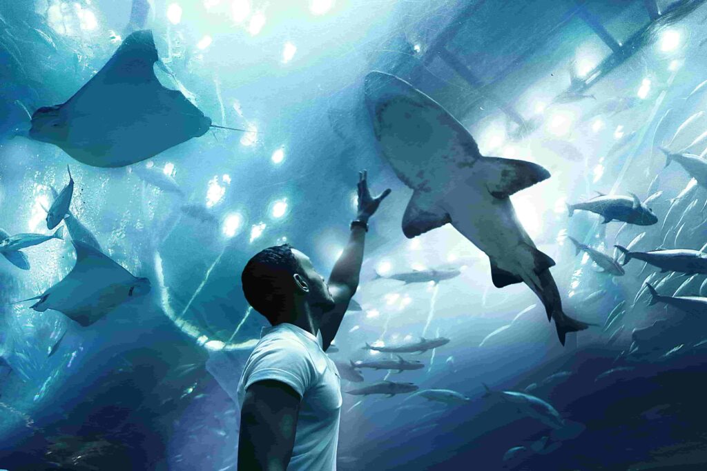 dubai aquarium