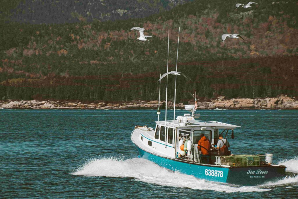 Take a Boat Tour in new York