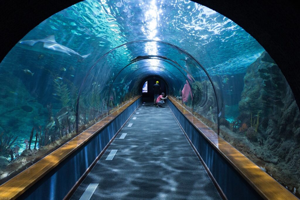 dubai aquarium tunnel