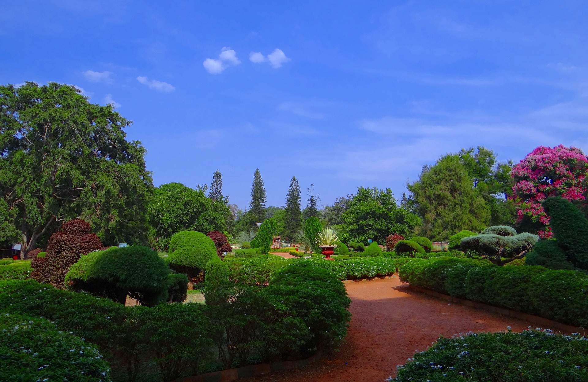 cubbon park in bangalore