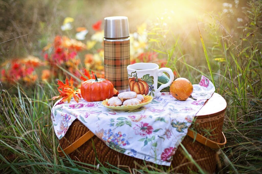 picnic in the park