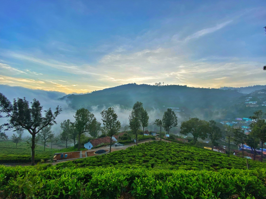 bison valley in ooty 